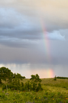 Broken Rainbow 5850